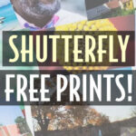 shutterfly free prints header